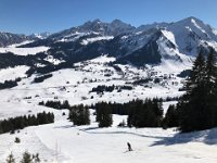 28 February Skiing Col des Mosses