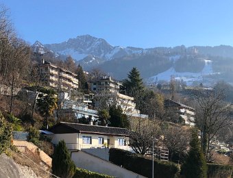 18 - 21 January Around Montreux