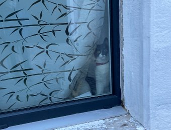 24 - 31 January Around Montreux