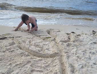 Happenings in FL and Nashville