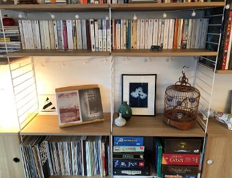 Happenings in Zurich