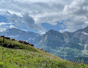 30 June Montreux to le Col de Cou and Golese
