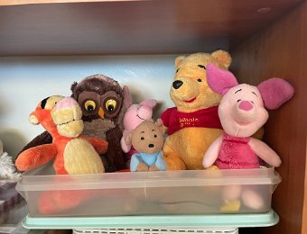 5-12 July Around Montreux (Covid)