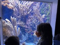 Many amazing tanks full of interesting life forms