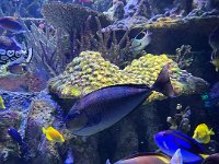 Reminds us of St John