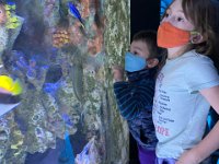 The kids were fascinated