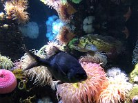 Like another world, which it is