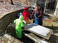 13 March Dedham and Wellesley