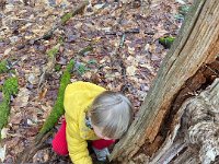 Outside, inspecting the world