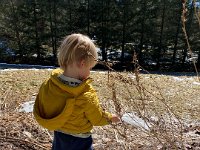August studies the grasses in front of his unit