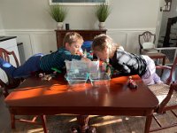 The pre-dinner Lego building session involves looking deeply into the box to find "special pieces"