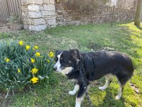 28 February - 6 March Nashville