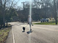 While walking back to Castleman Dr., who do I cross but Lula and her walker! She didn't let on and neither did I