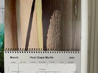 Vivianne has the same calendar (Gail's)