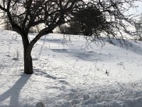 I spent an afternoon and night near Wellesley but the next photo was alongside the Interstate in Randolph VT.