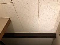 Poorly fitted acoustical/insulated ceiling tiles