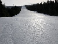 This long and relatively steep trail was untilled and closed; otherwise someone would've died crashing into trees