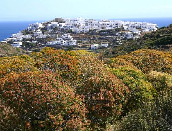 10 May Sifnos - Apollonia to Kastros