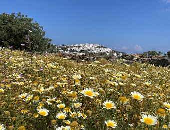 14 May Sifnos - Apollonia to Camares (Port)