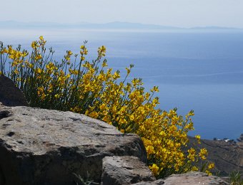 22 May Serifos - Chora to Kallitsos