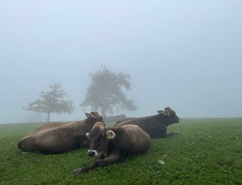 3-4 October Utliberg (Zurich)