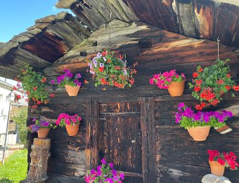 18 August - Graechen