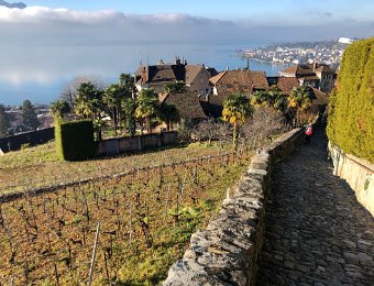 16 and 19 December - Around Montreux