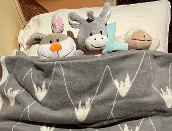 20 December - NA and A Arrive