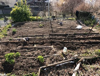 Garden in February