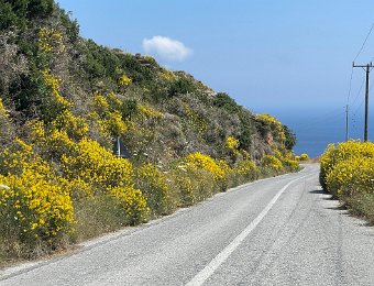 1 June - Driving South on Andros