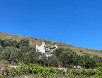 25 May -Tinos Falatados to Karya