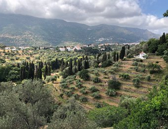 29 May - Andros Chora to Menites