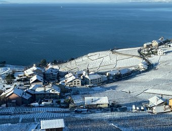 19 January Snow Landscapes around Switzerland