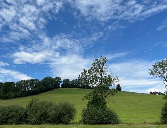 29 July - Return to Montreux