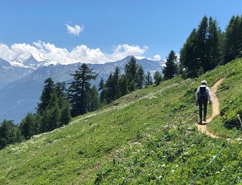 3 July - Jeizinen to Guttet, R and P's place