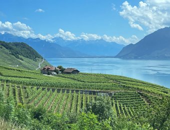 4 July - Around Montreux and Oerlikon