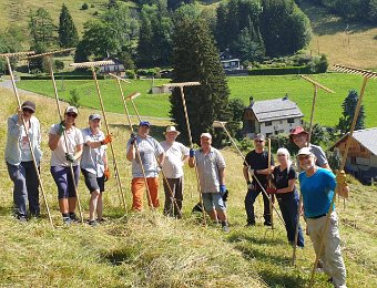 7 July - Haying the Narcissus Fields