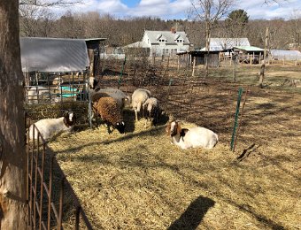 16 - 19 March - Wellesley