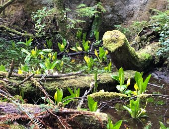 1 April - Around the Island