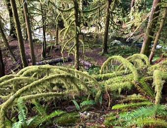 31 March - 4 April 2023 - Vancouver Island