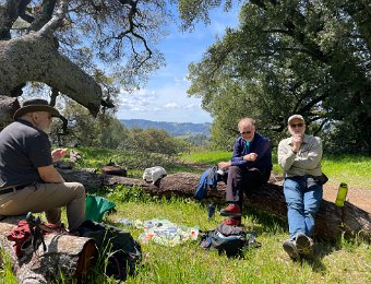 5 April - Mount Burdell