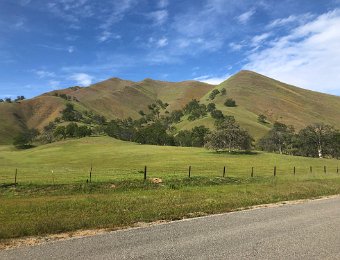 8 April - Bear Valley and Chico