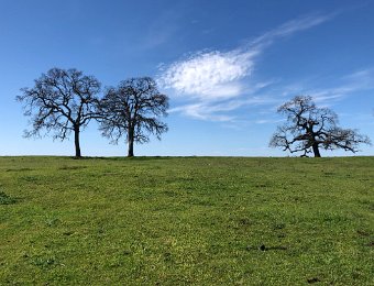 9 April - North Table Mountain Ecological Reserve to Kirkwood