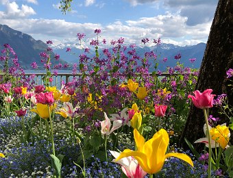 1-2 May - Around Montreux, Quick trip to Lausanne