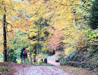 11 November - DemsAbroad Walk and Talk in La Cote, Dinner chez Joe