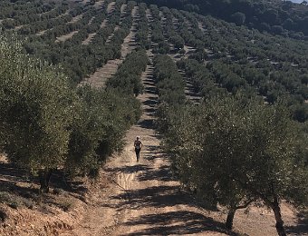 25 November- 1 December - East Andalucia