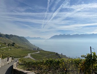 17 October - Arriere Pays and into Lavaux with J and M