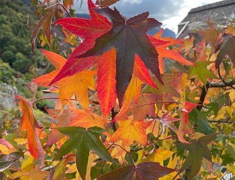 18-20 October - Around Montreux