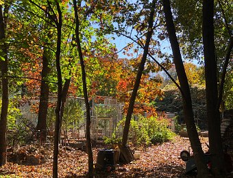 26-31 October - Together in Boston and Montreal