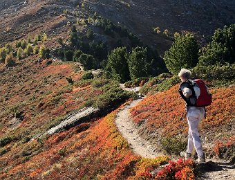 9 October - Verconin to Grimentz (Roc d'Orzival)